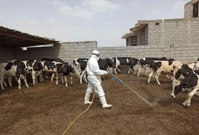 المستشفى البيطري في ذي قار يعلن احتواء بؤرة إصابتين بالحمى النزفية في قضاء الشطرة