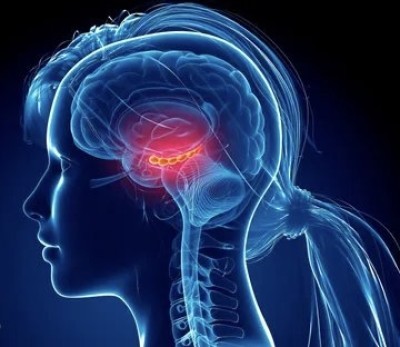 كيف يكوّن دماغك انطباعاً سريعاً عن الآخرين