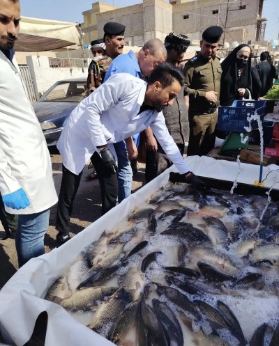 فرق مشتركة تنفذ حملة تفتيشية على الثروة السمكية في قلعة سكر للحفاظ على الامن الغذائي