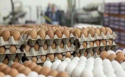 أسعار بيض المائدة ترتفع إلى 7 آلاف دينار في الناصرية ومواطنون يطالبون بتدخل الجهات الرقابية