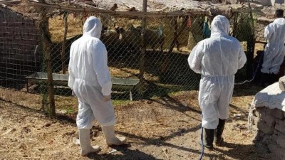 تصاعد مخاطر الحمى النزفية في ذي قار وتحذيرات من خروج الوضع عن السيطرة