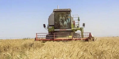 مدير زراعة ذي قار يكشف تفاصيل حملة حصاد الحنطة والشعير للموسم الحالي