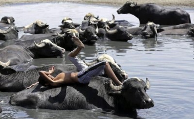 برنامج الأمم المتحدة الإنمائي يوثق أهمية المنتجات التقليدية لسكان اهوار الجنوب