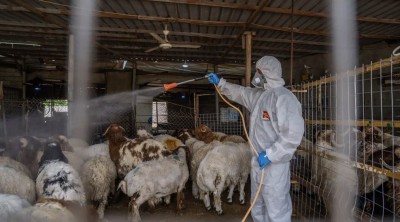 ذي قار تسجل 16 إصابة بالحمى النزفية ووفاتين خلال الأشهر الأولى من العام
