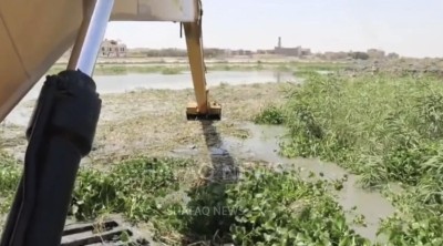ذي قار تتحرك لمواجهة الخطر الأخضر في نهر الفرات