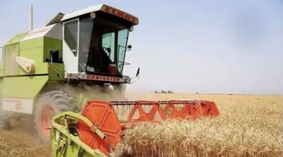 ذي قار تختتم موسمها التسويقي للحنطة بتسجيل قرابة 60 ألف طن في مراكز الاستلام