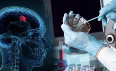 علماء يبتكرون محفزات لإنتاج الأدوية والوقود والمواد الخام
