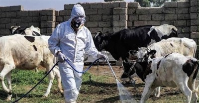 ارتفاع جديد بإصابات الحمى النزفية في ذي قار والصحة توسع إجراءات الاحتواء