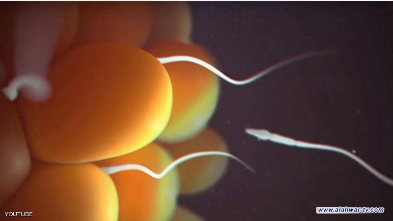 علماء يكتشفون سر تحديد جنس الجنين في السائل المنوي لأول مرة