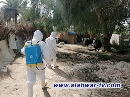 إجراءات احترازية للسيطرة على بؤرة "الحمى النزفية" شمال الناصرية