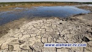 لجنة الزراعة والمياه والأهوار النيابية