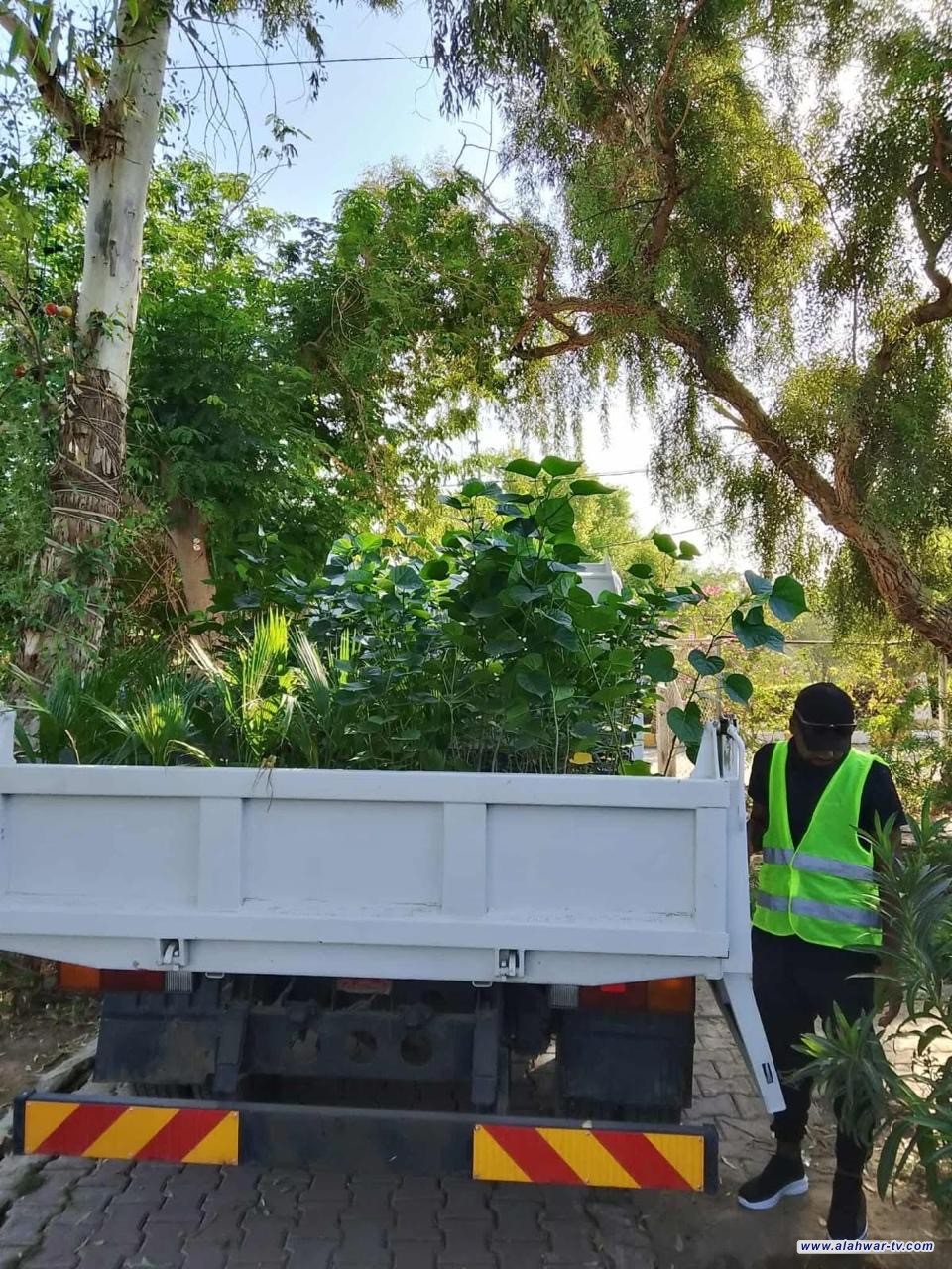 استمرار حملة الاستزراع الخريفية في الناصرية لتعزيز المساحات الخضرا