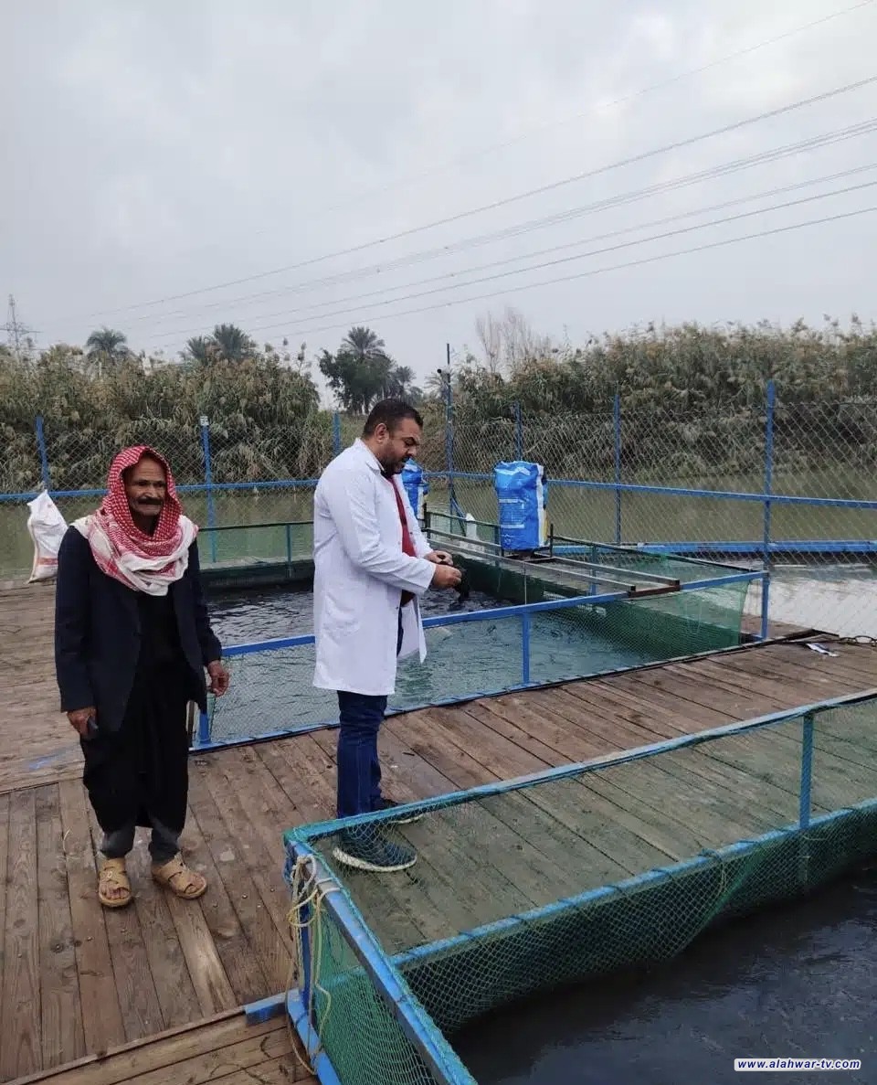 المستشفى البيطري في ذي قار يطمئن المواطنين: أحواض الأسماك خالية من فيروس الهيربس