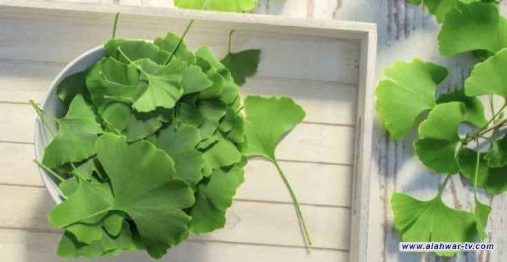 دراسة: نباتات قد تساهم في علاج تصلب الشرايين