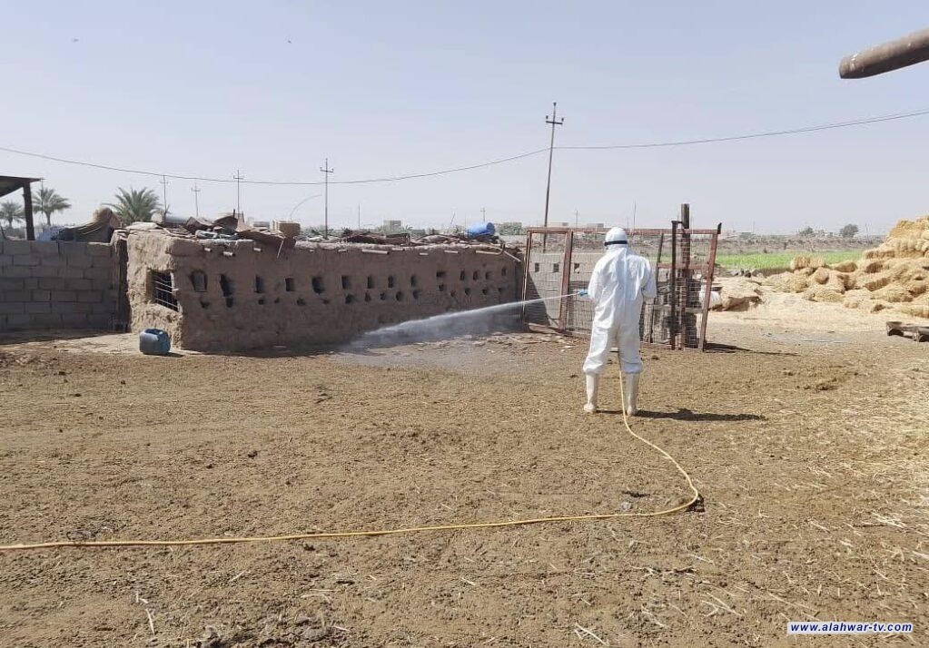 ارتفاع مقلق في إصابات الحمى النزفية بذي قار: 74 اصابة بينها 3 وفيات حتى الان