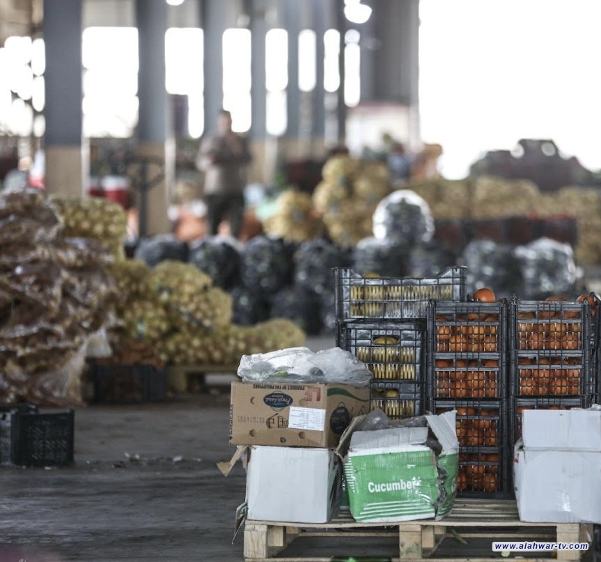 الزراعة: منع استيراد 11 محصولاً وتحديد خطة الموسم الشتوي الزراعية