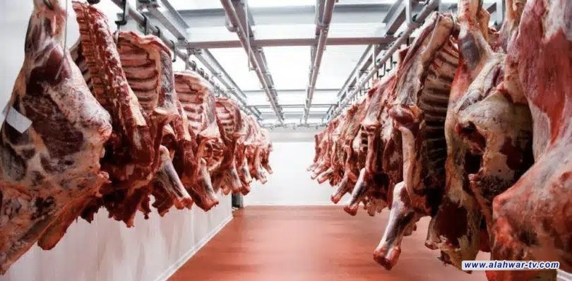 المستشفى البيطري في ذي قار: إنشاء مجازر نموذجية ضرورة عاجلة للحد من الحمى النزفية