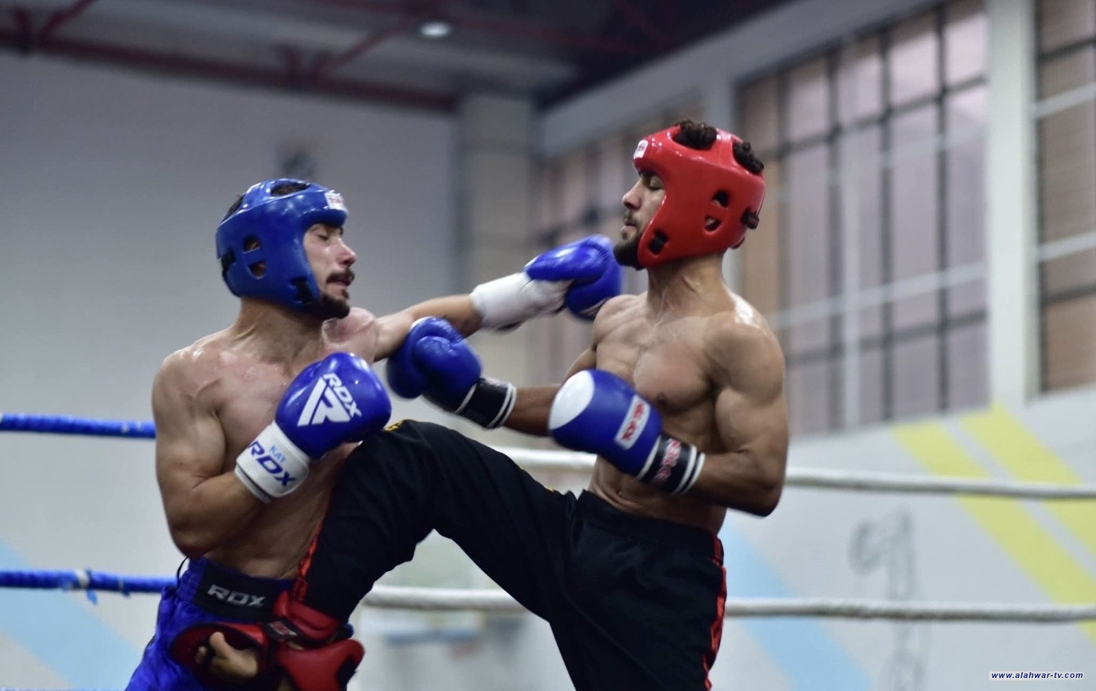 اتحاد الكيك بوكسينغ يحدد منهاجه للعام 2026