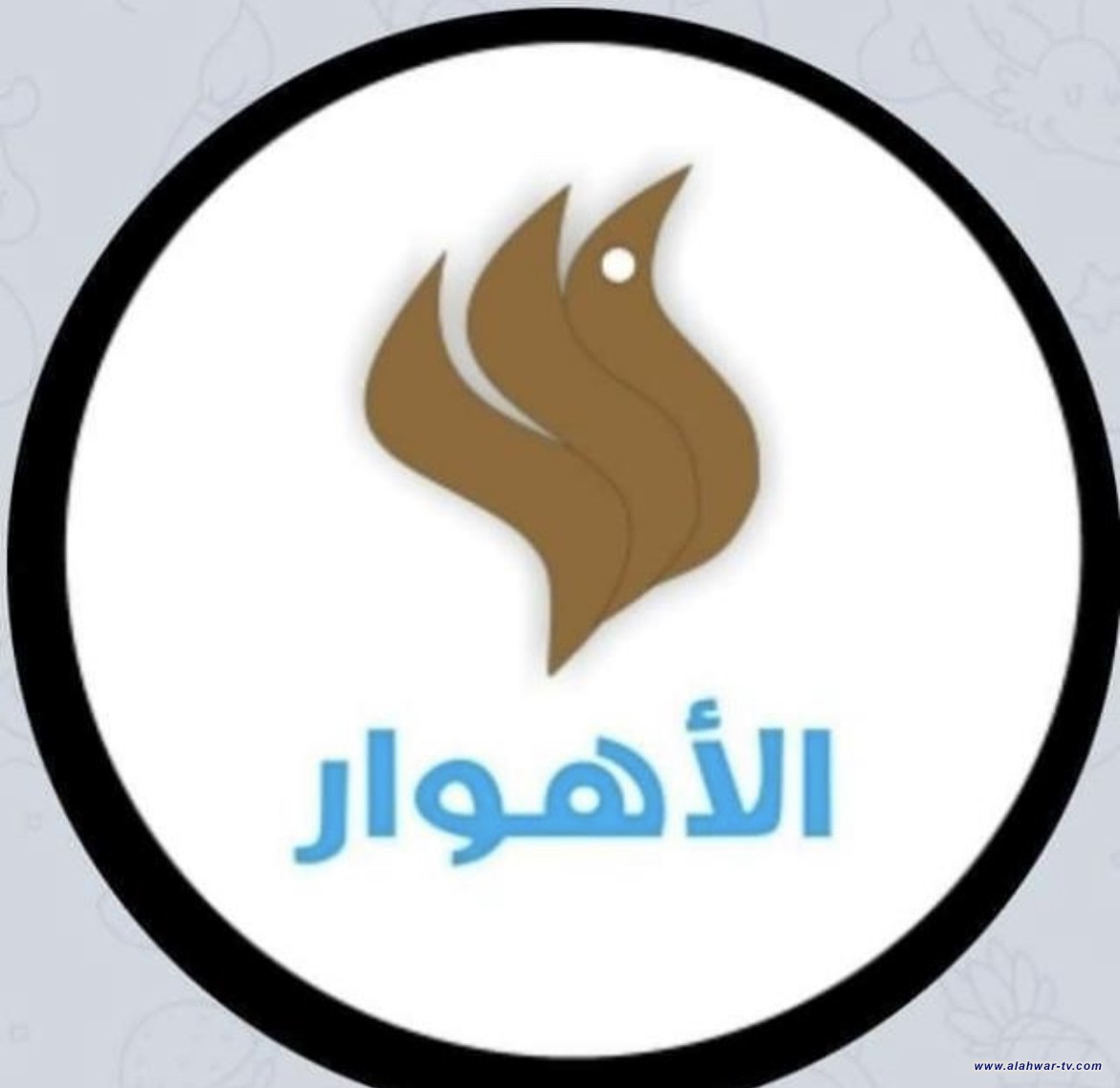 عاجل.. {الاهوار ) تنشر أسماء الوجبة الخامسة من المشمولين الجدد بالإعانة