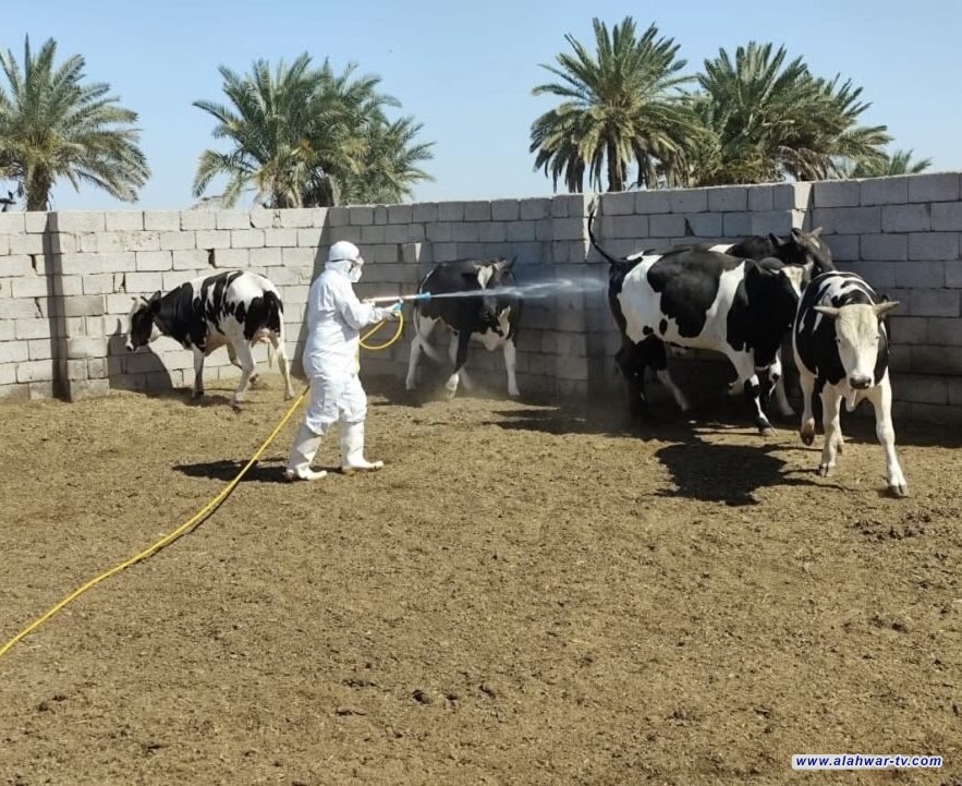 الصحة تعلن تسجيل حالتي وفاة و16 إصابة جديدة بالحمى النزفية