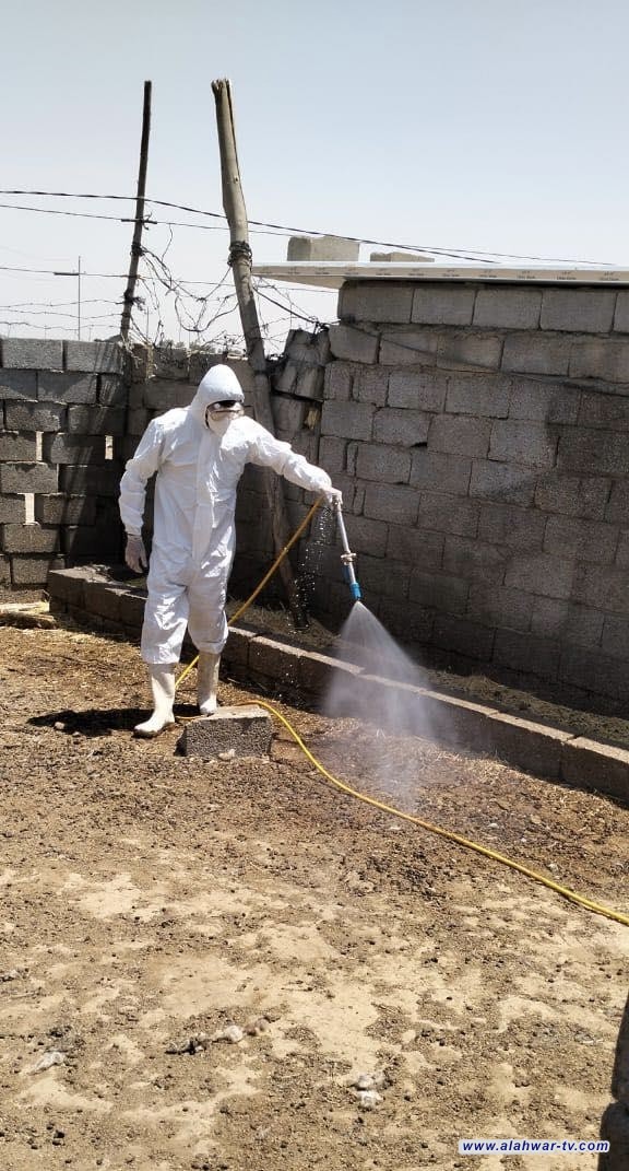 المستشفى البيطري: احتواء بؤرتي إصابة بالحمى النزفية شمال الناصرية