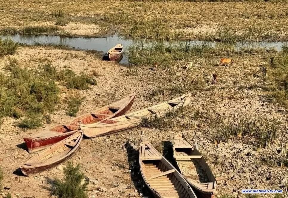 بالصور: الجفاف يضرب 80% من هور الحمّار الغربي في الجبايش وسط كارثة بيئية تهدد الحياة