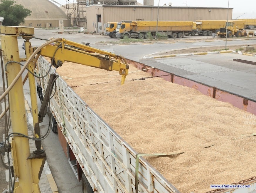 التجارة تعلن تسويق أكثر من مليون ونصف المليون طن من الحنطة حتى الآن