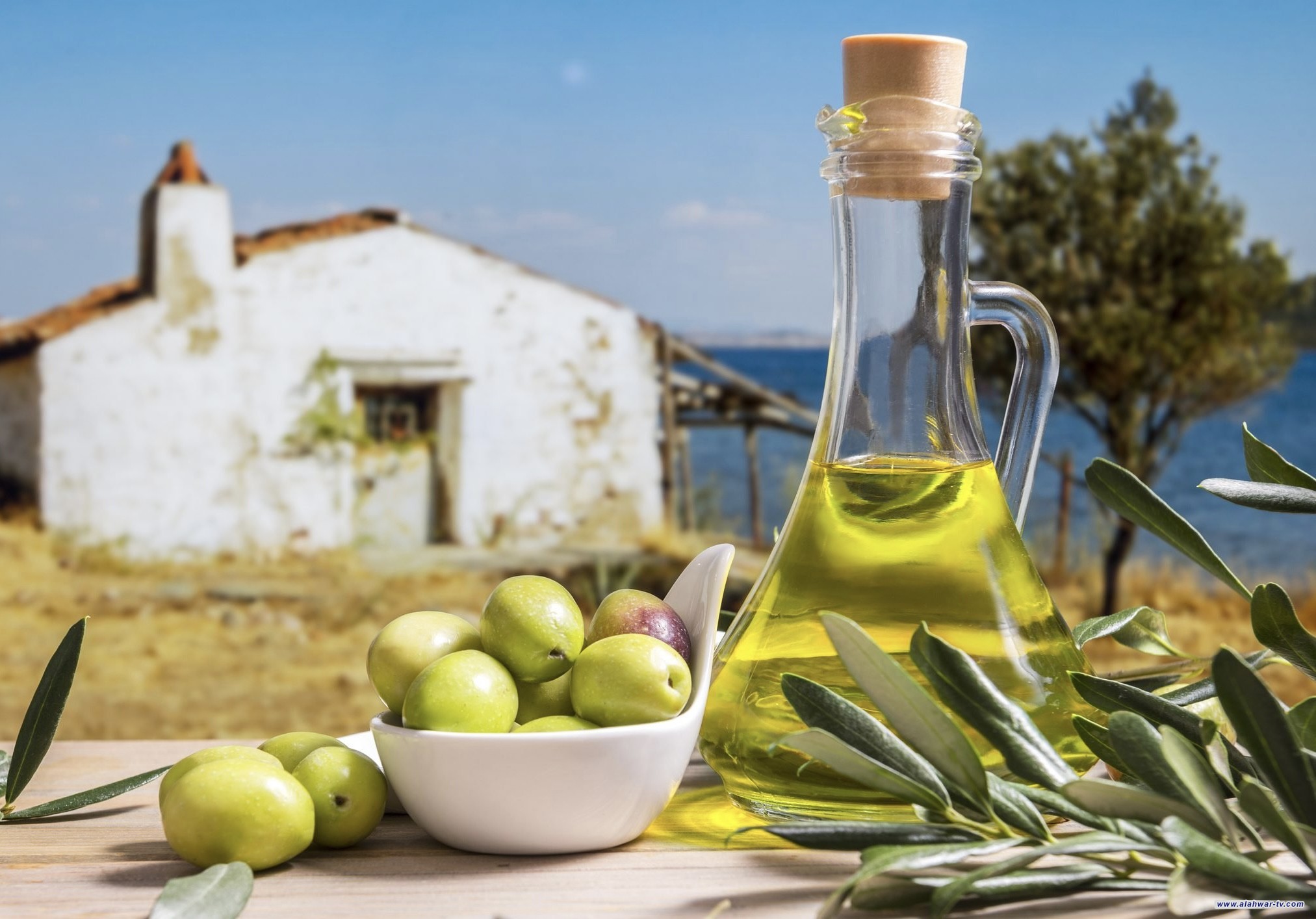 خبراء ينصحون بعدم وضع زيت الزيتون في الثلاجة