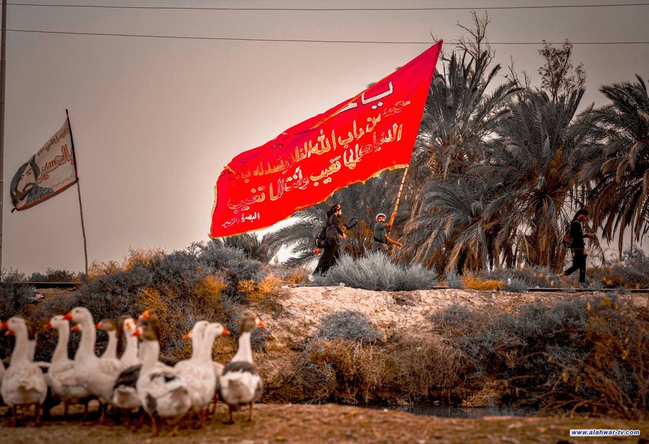 ذي قار على درب الحسين.. تواصل الزحف نحو كربلاء لإحياء الأربعينية {صور}
