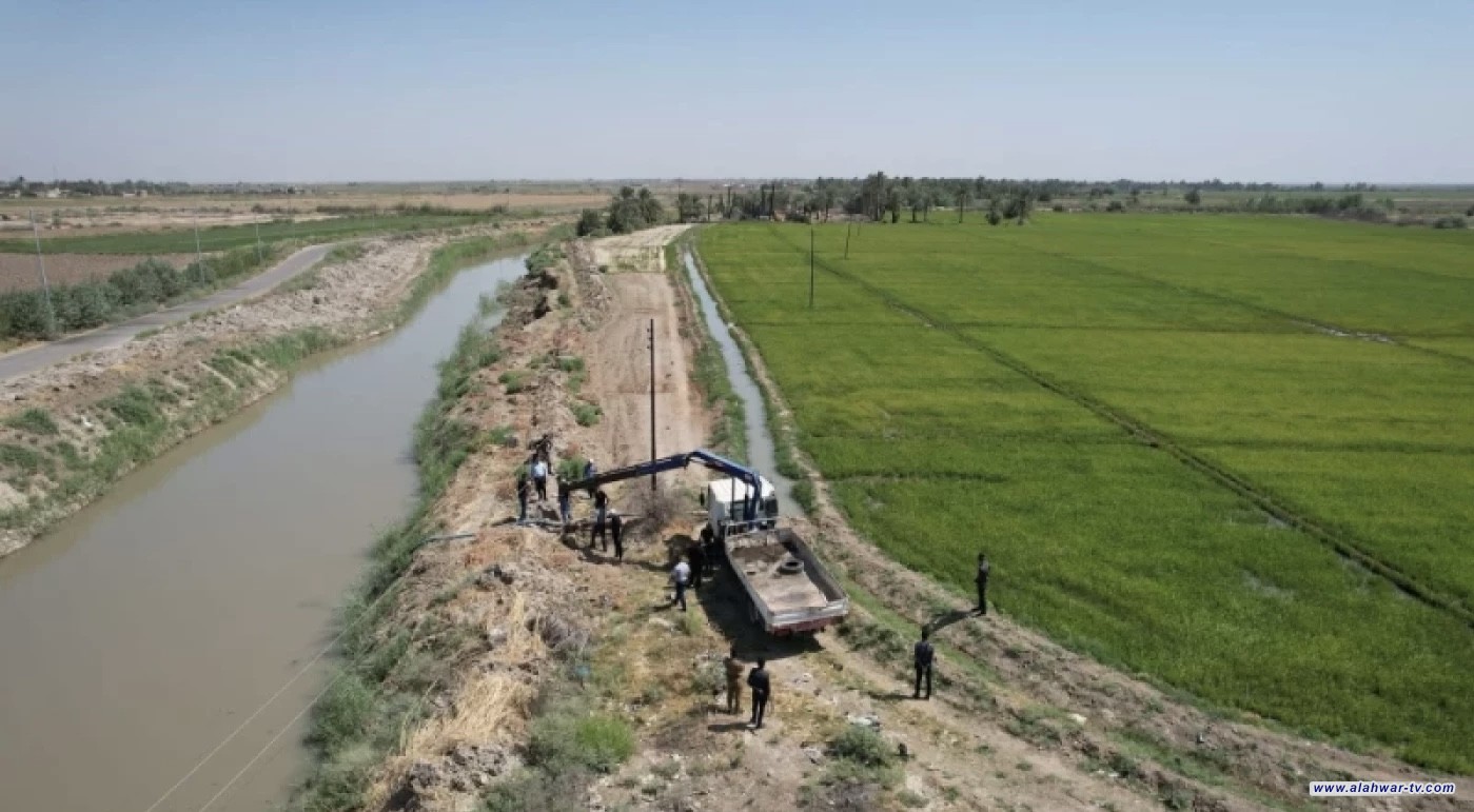 العطش يدفع أبناء ذي قار لزراعة محاصيل  مقاومة للجفاف والملوحة