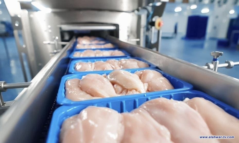 الزراعة : منع استيراد مقطعات الدجاج ابتداءً من هذا الموعد