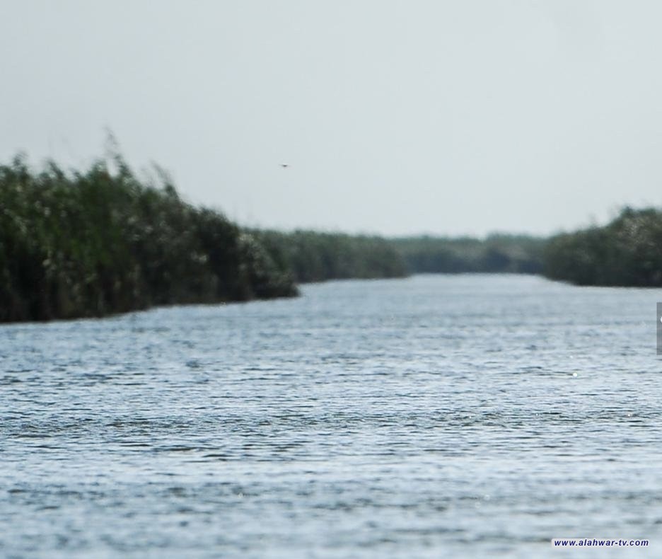 الموارد المائيـة تنفي استخدام المياه العذبة في حقن الآبار النفطية