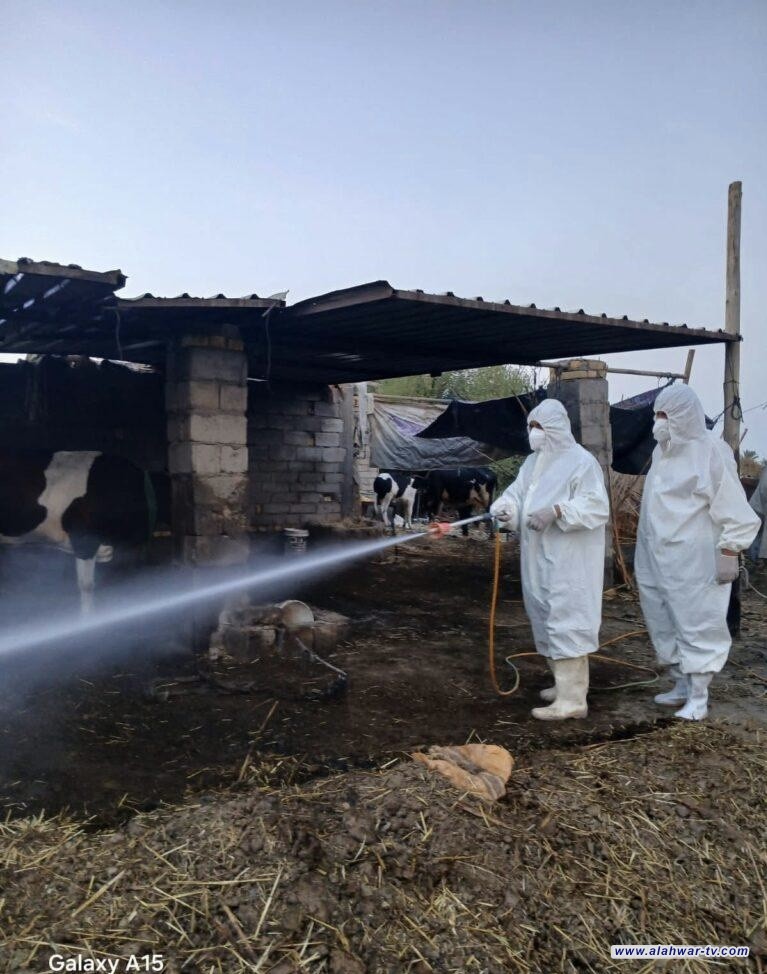 احتواء بؤرة إصابة بالحمى النزفية في ناحية الطار جنوب الناصرية