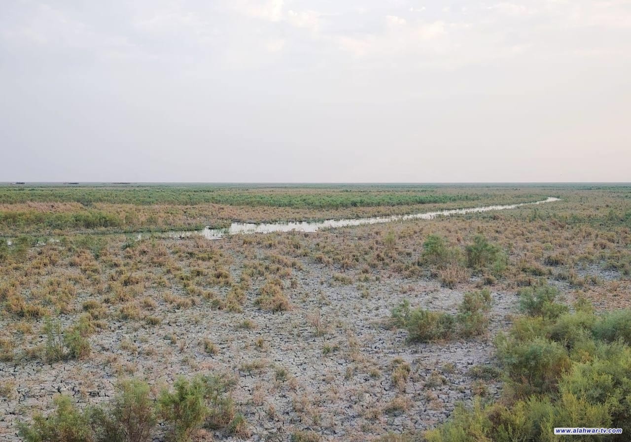 باحث جغرافي يحذر: اهوار الجبايش مهددة بالجفاف بعد انخفاض الإغمار إلى أقل من 15%