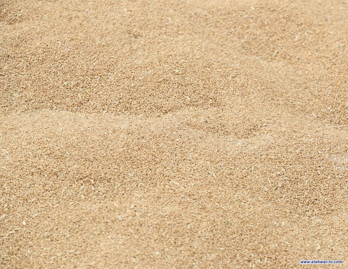 التجارة تعلن وضع خطط استباقية لضمان الأمن الغذائي وإدارة المخزون بكفاءة عالية