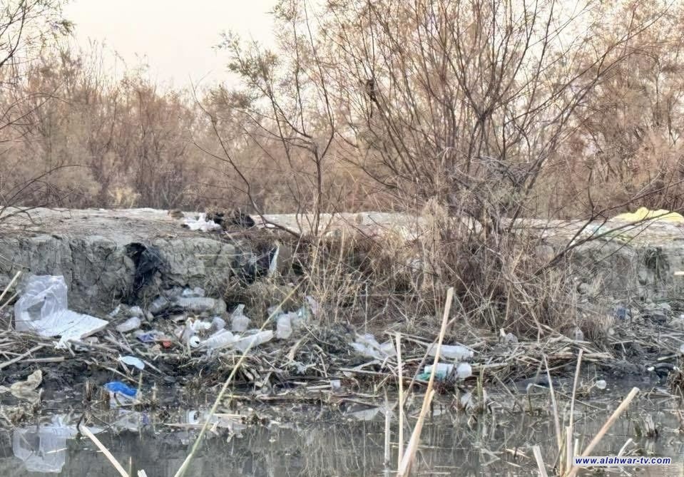 منظمة بيئية تحذر من تفاقم مشكلة النفايات في أهوار ذي قار وتدعو للتحرك