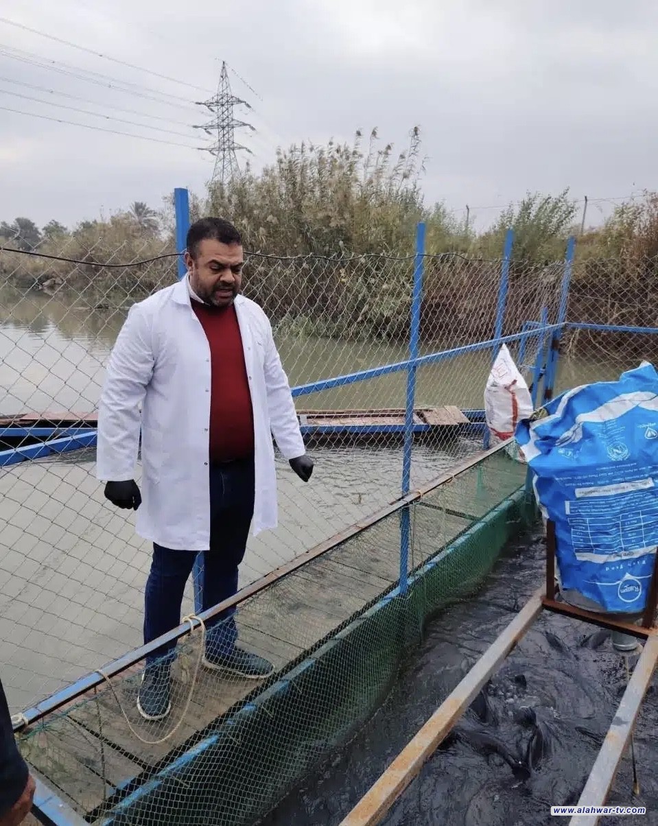 ذي قار: فحص شامل لأحواض الأسماك يؤكد خلوها من فيروس خطير
