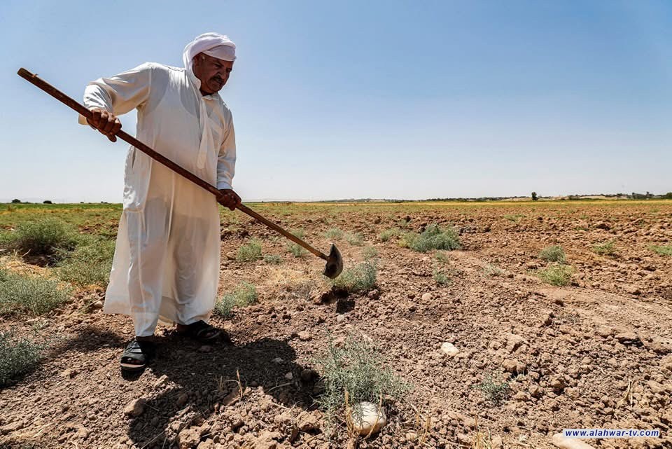 فلاحيات ذي قار: شح المياه من أبرز تحديات اكمال الخطة الزراعية الشتوية