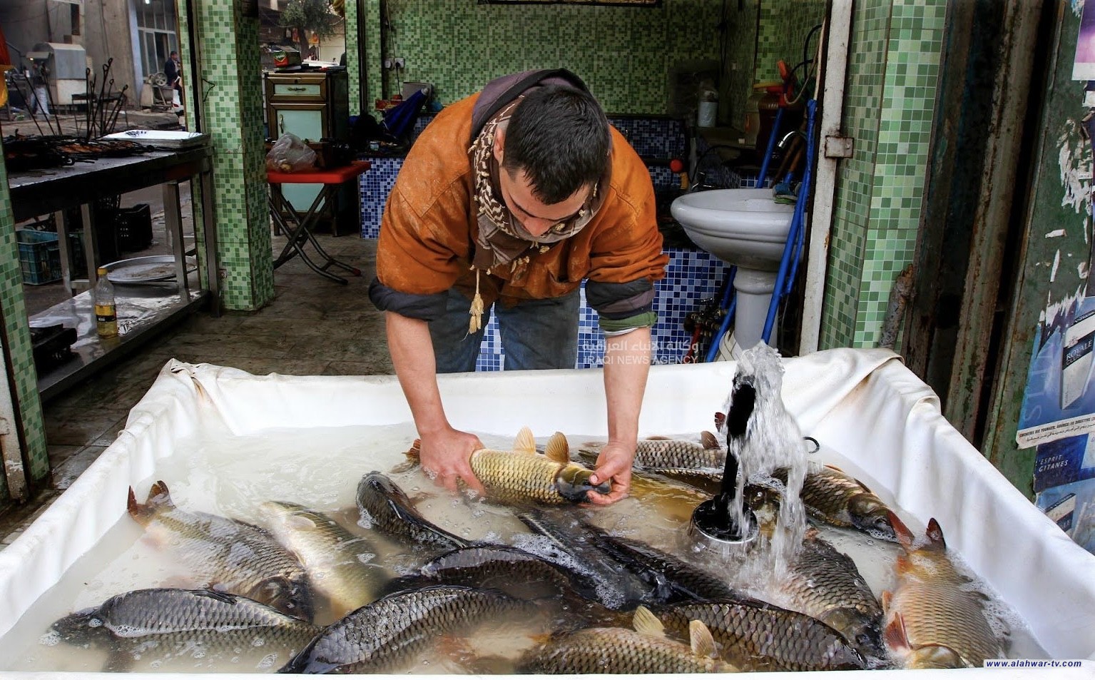 الزراعة: تحقيق الاكتفاء من بيض المائدة والإنتاج السمكي يصل لـ100 ألف طن سنوياً