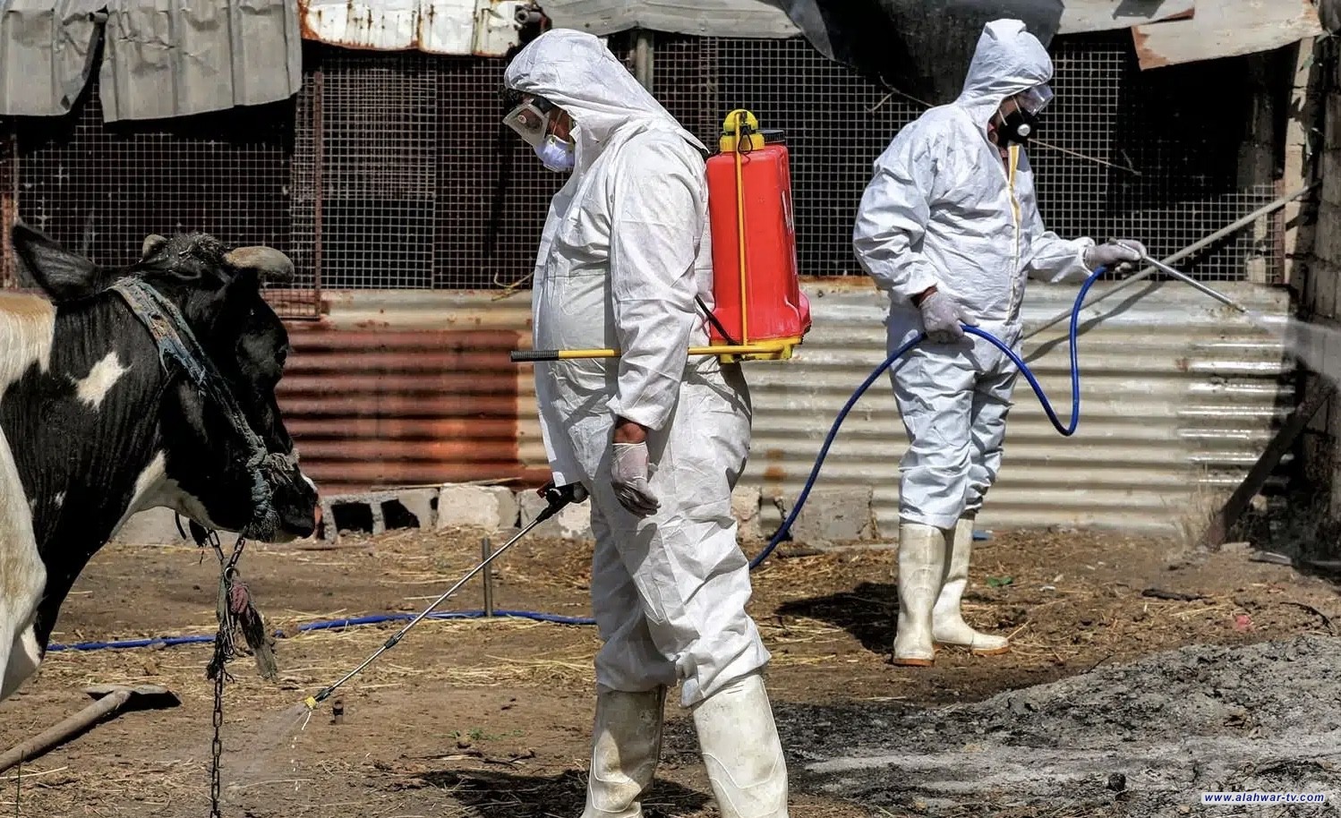 ذي قار: أكثر من 100 إصابة وحالات وفاة بالحمى النزفية منذ ظهورها