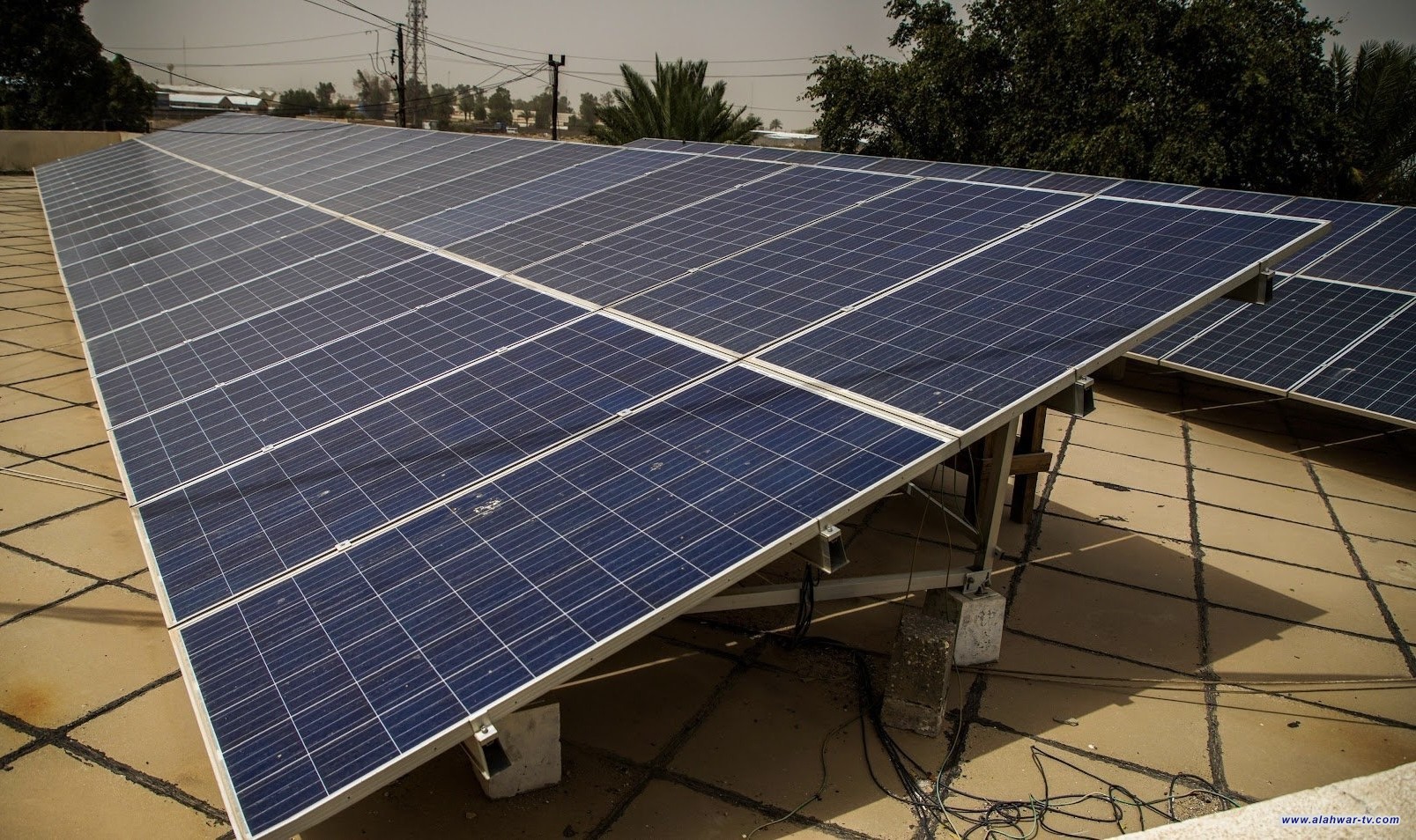 البنك المركزي يؤكد استمرار منح قروض مبادرة الطاقة المتجددة