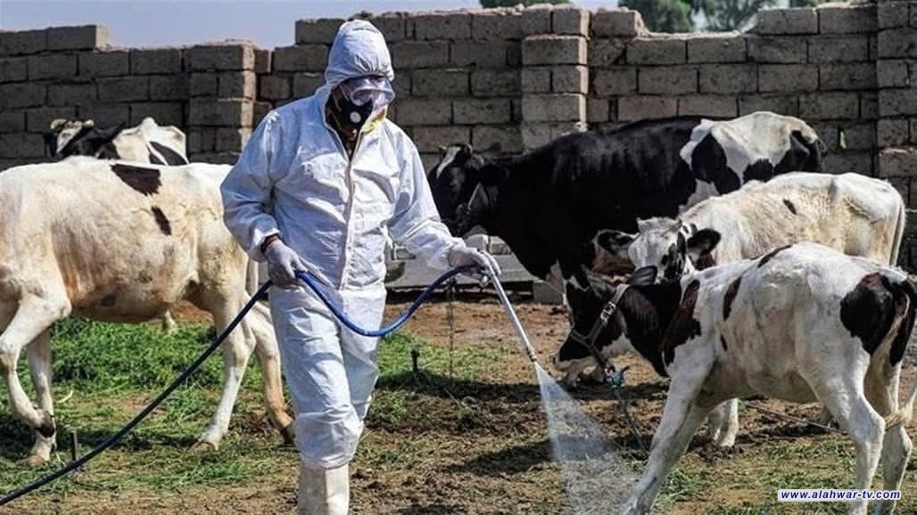 ذي قار تسجّل حالتين جديدتين بالحمّى النزفية في منطقة العكر