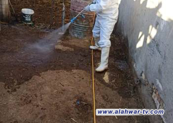 إجراءات إحترازية للسيطرة على بؤرة للحمى النزفية شمال الناصرية