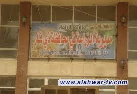 انطلاق أولى خطوات التشجير الحضري في ذي قار.. التنفيذ يبدأ أيلول المقبل