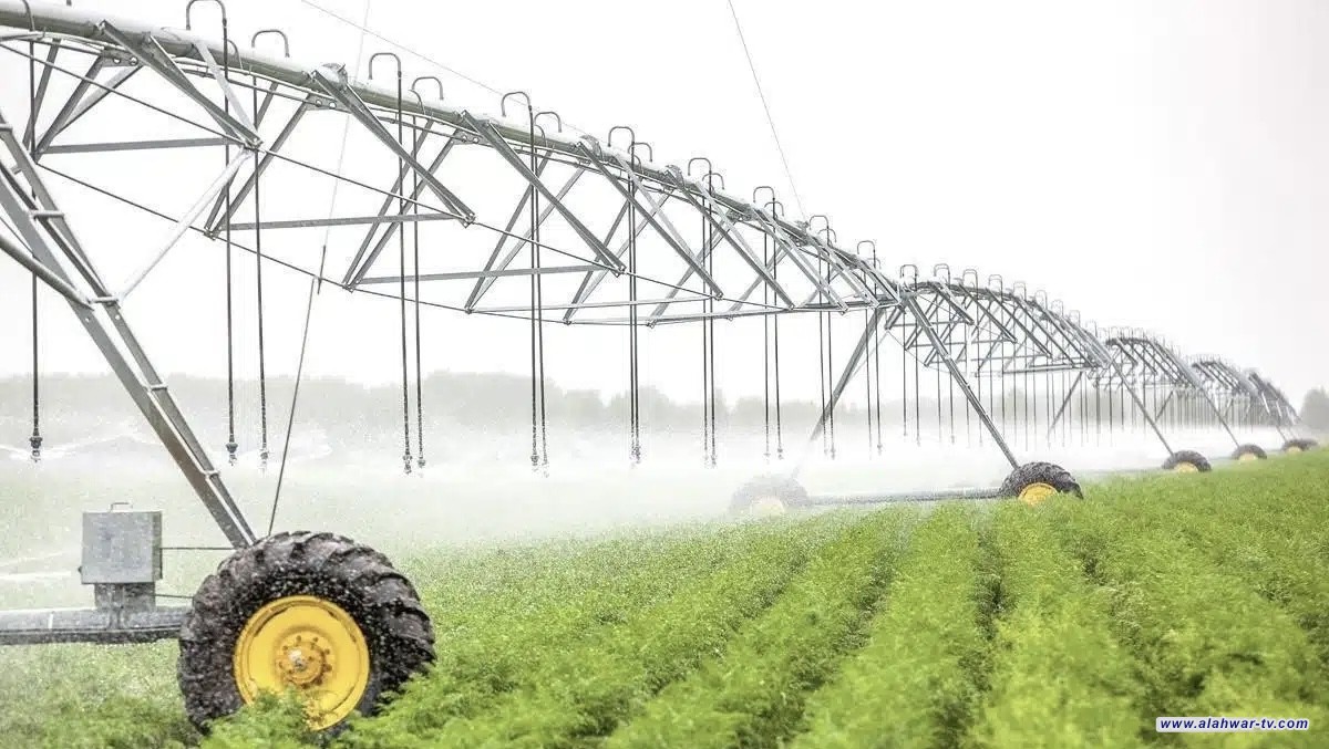 مدير مرور ذي قار يعلن انتشار قوة من مرور المحافظة لتأمين الزيارة الشعبانية في كربلاء