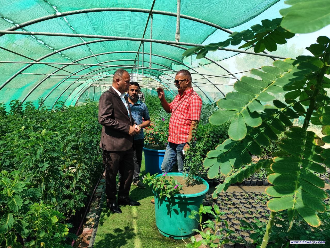 بلدية الرفاعي تعلن حملة تشجير في مناطق المدينة المختلف