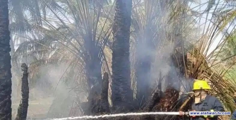 النيران تلتهم بستانًا في حي العرب بسوق الشيوخ والدفاع المدني يسيطر على الحريق