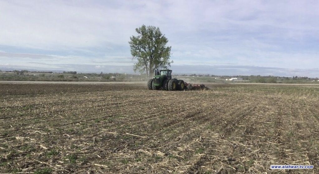 ذي قار تطرح 12 ألف دونم للاستثمار الزراعي والحيواني