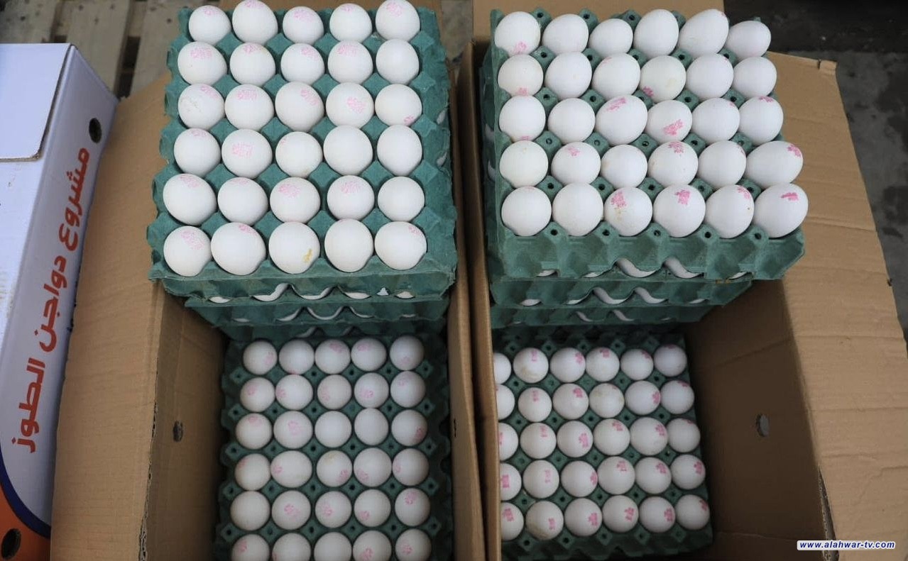 وزارة الزراعة تؤكد وفرة واستقرار أسعار بيض المائدة