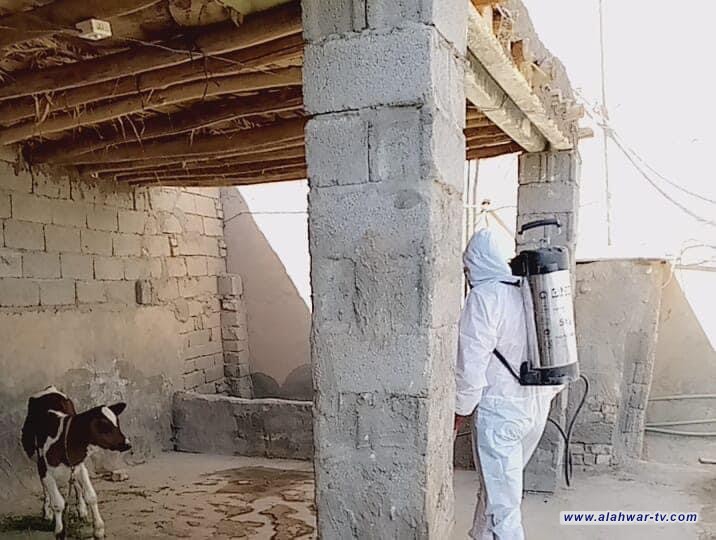 حملة وقائية للسيطرة على الحمى النزفية في ذي قار